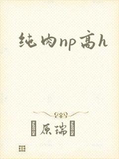 纯肉np高h