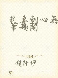 我妻刺心无弹窗笔趣阁