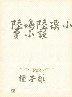 陆鸣陆瑶小说免费小说