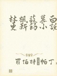林枫苏慕白最快更新的小说