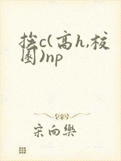 挨c(高h,校园)np
