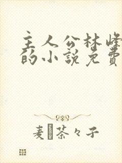 主人公林峰宁欣的小说免费阅读