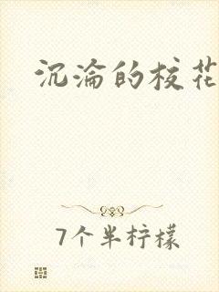 沉沦的校花封面