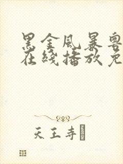 黑金风暴粤语版在线播放免费