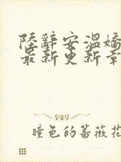 陆辞安温娇小说最新更新章节列表封面