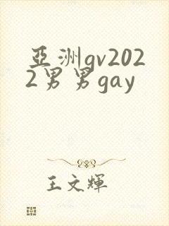亚洲gv2022男男gay
