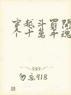 穿越斗罗开局9个十万年魂环