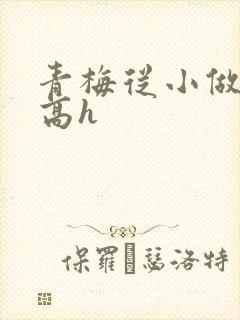 青梅从小做到大高h