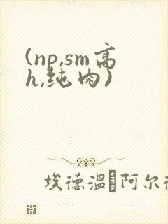 (np,sm高h,纯肉)封面