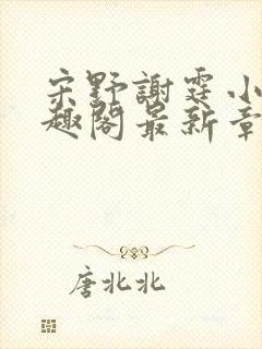 宋野谢霆小说笔趣阁最新章节