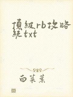 顶级rb攻略系统txt封面