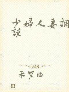 少妇人妻调教小说封面