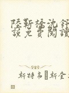 陆靳桥沈舒宁小说免费阅读最新章节