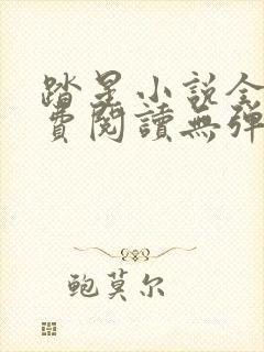 踏星小说全文免费阅读无弹窗