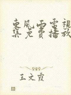 东风雨电视剧全集免费播放在线观看封面