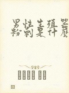 男性生殖器上长粉刺是什么情况