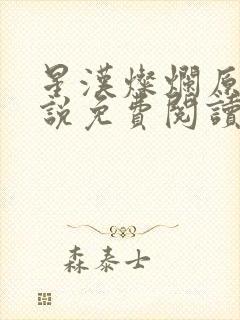 星汉灿烂原著小说免费阅读