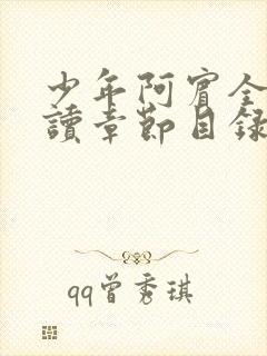 少年阿宾全文阅读章节目录