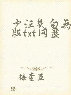 少汪几句无删减版txt网盘
