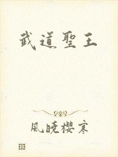 武道圣王