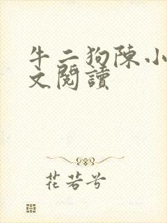 牛二狗陈小燕全文阅读封面