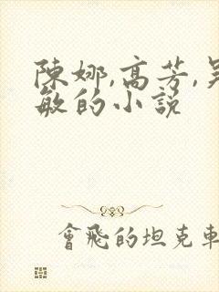 陈娜,高芳,吴敏的小说