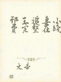 邪王追妻小说免费完整在线阅读