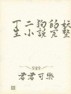 丁二狗的妖孽人生小说完整版封面