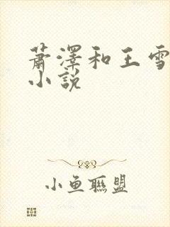 萧泽和王雪凤的小说