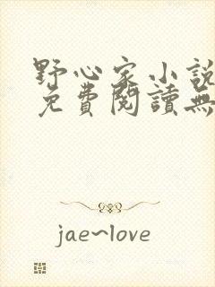 野心家小说全文免费阅读无弹窗