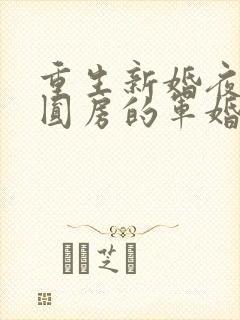 重生新婚夜正在圆房的军婚