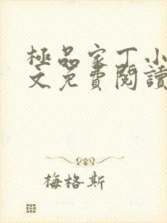 极品家丁小说全文免费阅读封面