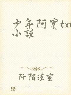 少年阿宾txt小说