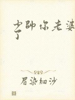 少帅你老婆又跑了