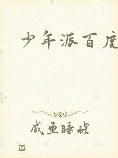 少年派百度百科封面