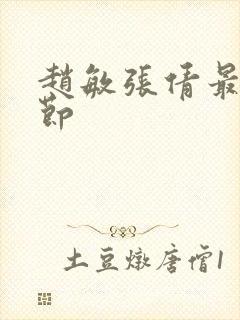 赵敏张倩最新章节