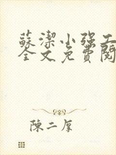 苏洁小强工地情全文免费阅读封面