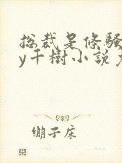 总裁是条骚狗by千树小说免费阅读