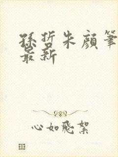 孙哲朱颜笔趣阁最新