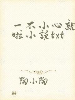 一不小心就无敌啦小说txt封面