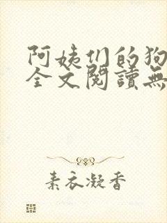 阿姨们的狗小说全文阅读无弹窗