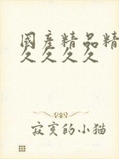 国产精品精品久久久久久