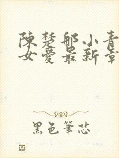 陈楚那小青男欢女爱最新章节封面