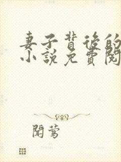 妻子背后的秘密小说免费阅读