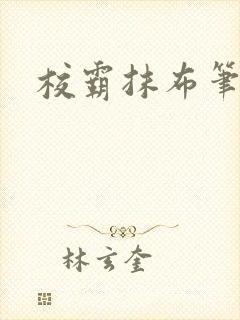 校霸抹布笔趣阁