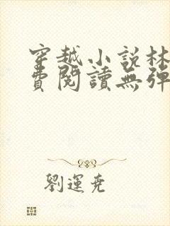 穿越小说林丰免费阅读无弹窗