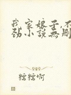 我家娘子,不对劲小说无删减