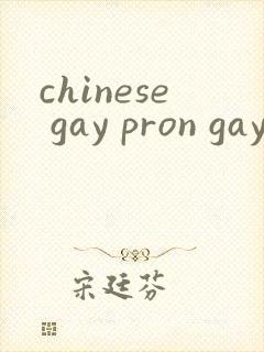 chinese gay pron gay