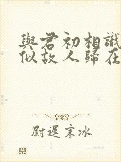 与君初相识·恰似故人归在线观看封面