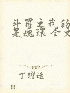 斗罗之我的武魂是魂环 全文